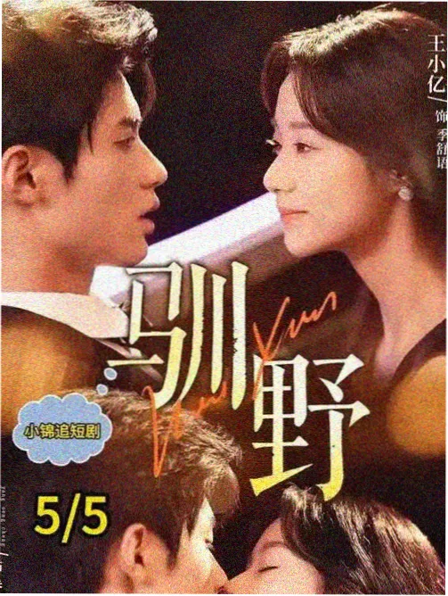 纪录片山上邮路条目缩略图，蓝图线稿风格